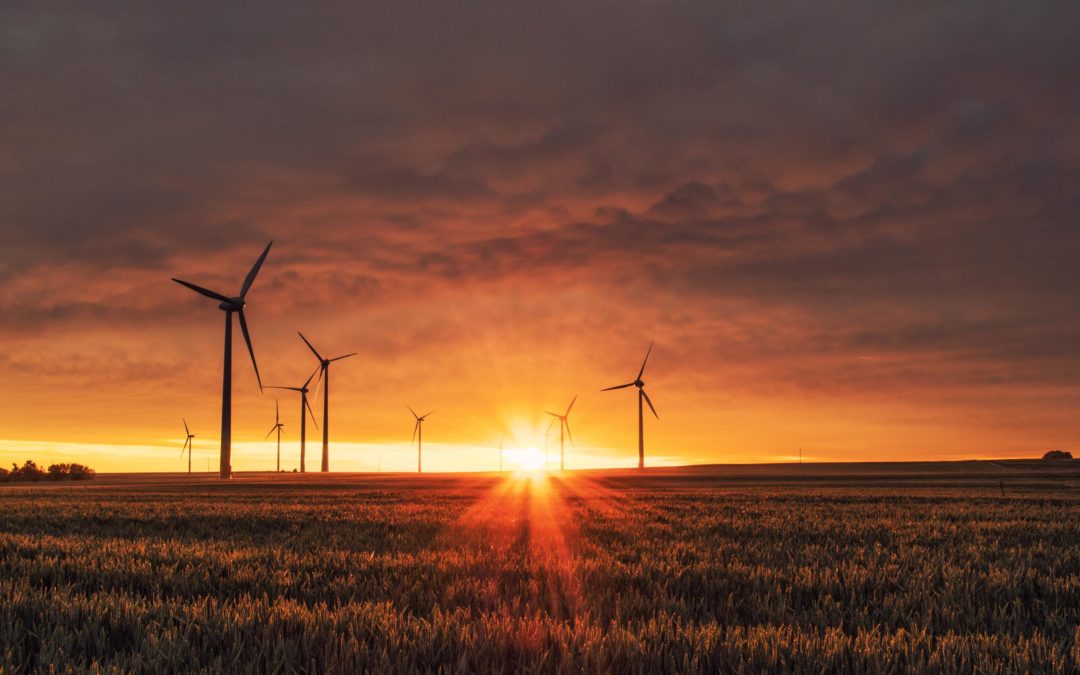 Pot la tecnologia ajudar-nos a combatre el Canvi Climàtic?