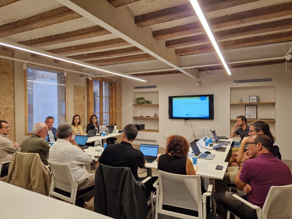 Comissió d'innovació m4Social de la Taula i Localret